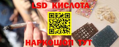 шишки Изобильный