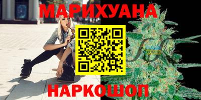 шишки Изобильный