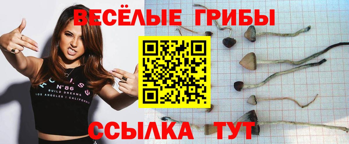Псилоцибиновые грибы Psilocybine cubensis  Вход с VPN  Псилоцибиновые грибы Psilocybine cubensis  Красный Сулин 